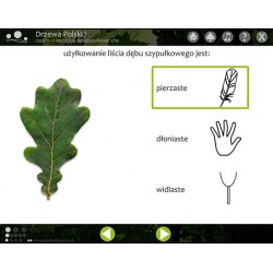 Trees of Poland 1 - Multimedia program - Digital Version