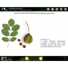 Drzewa Polski 3 - Program multimedialny - Wersja Elektroniczna