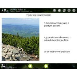Trees of Poland 3 - Multimedia program - Digital Version