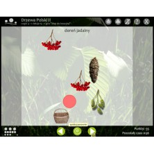 Trees of Poland 2 - Multimedia program - CD